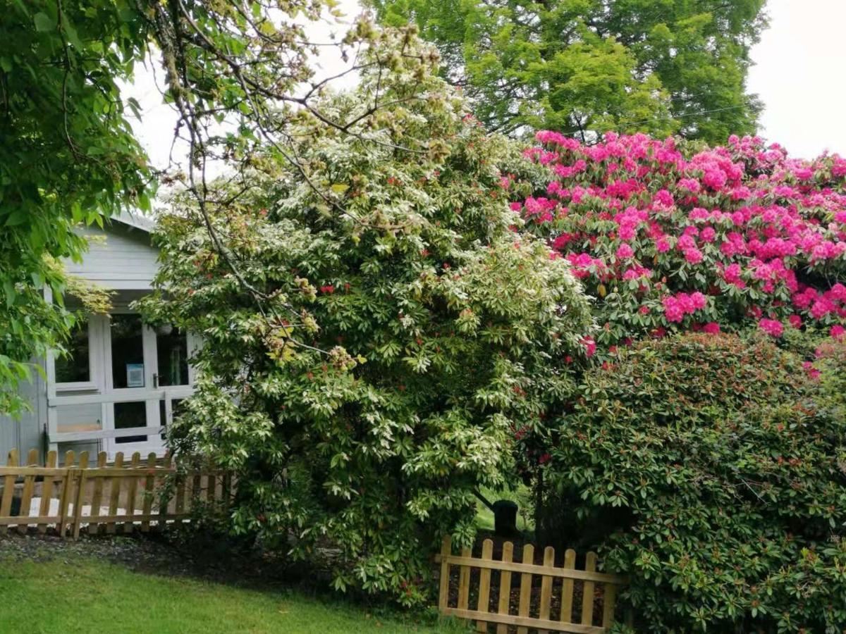 Treeside Woodhouse Villa Hawkshead Bagian luar foto