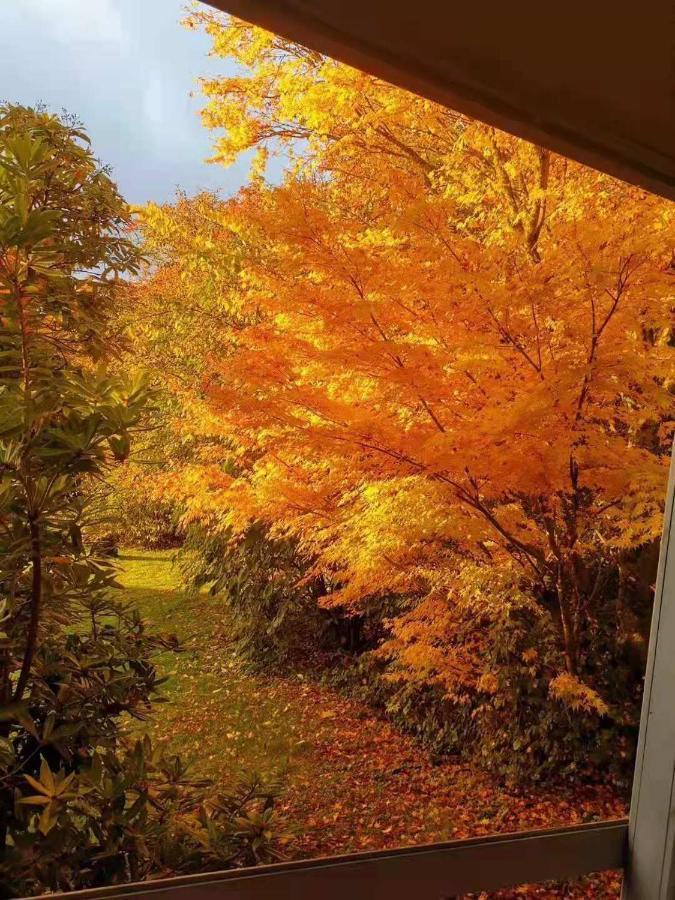 Treeside Woodhouse Villa Hawkshead Bagian luar foto
