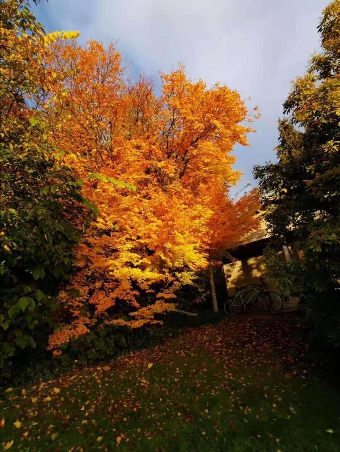 Treeside Woodhouse Villa Hawkshead Bagian luar foto