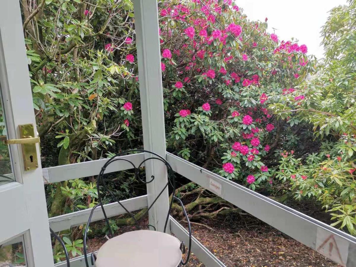 Treeside Woodhouse Villa Hawkshead Bagian luar foto