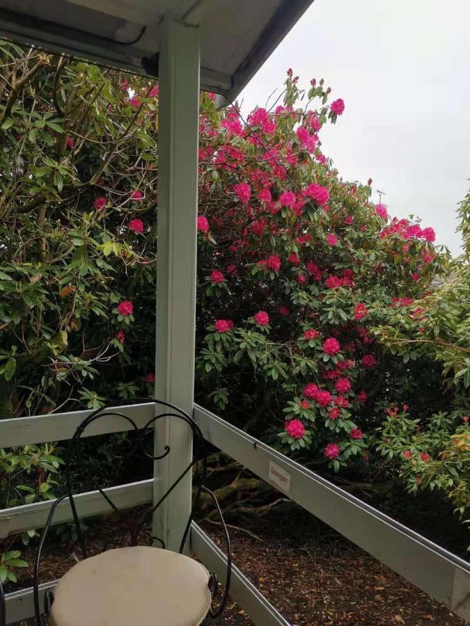 Treeside Woodhouse Villa Hawkshead Bagian luar foto