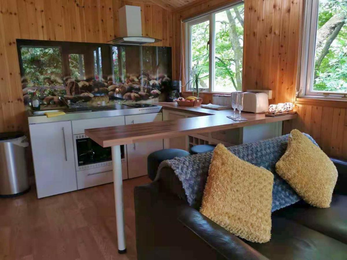 Treeside Woodhouse Villa Hawkshead Bagian luar foto