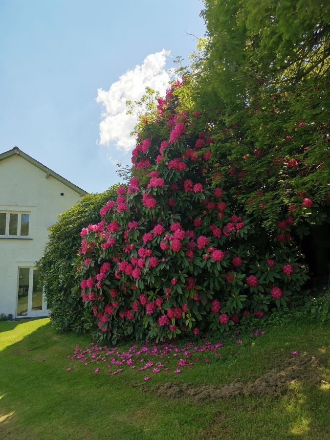 Treeside Woodhouse Villa Hawkshead Bagian luar foto