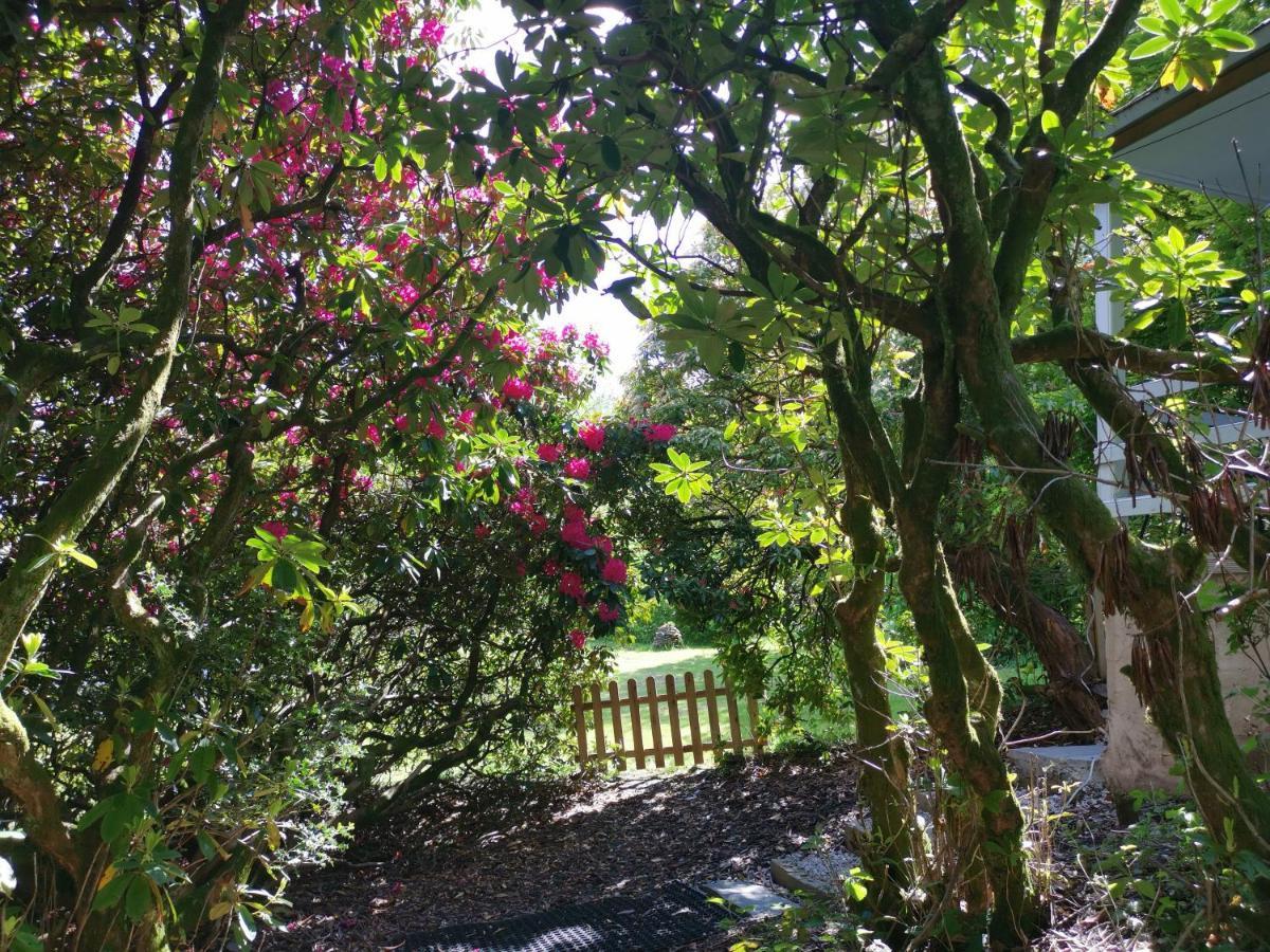 Treeside Woodhouse Villa Hawkshead Bagian luar foto