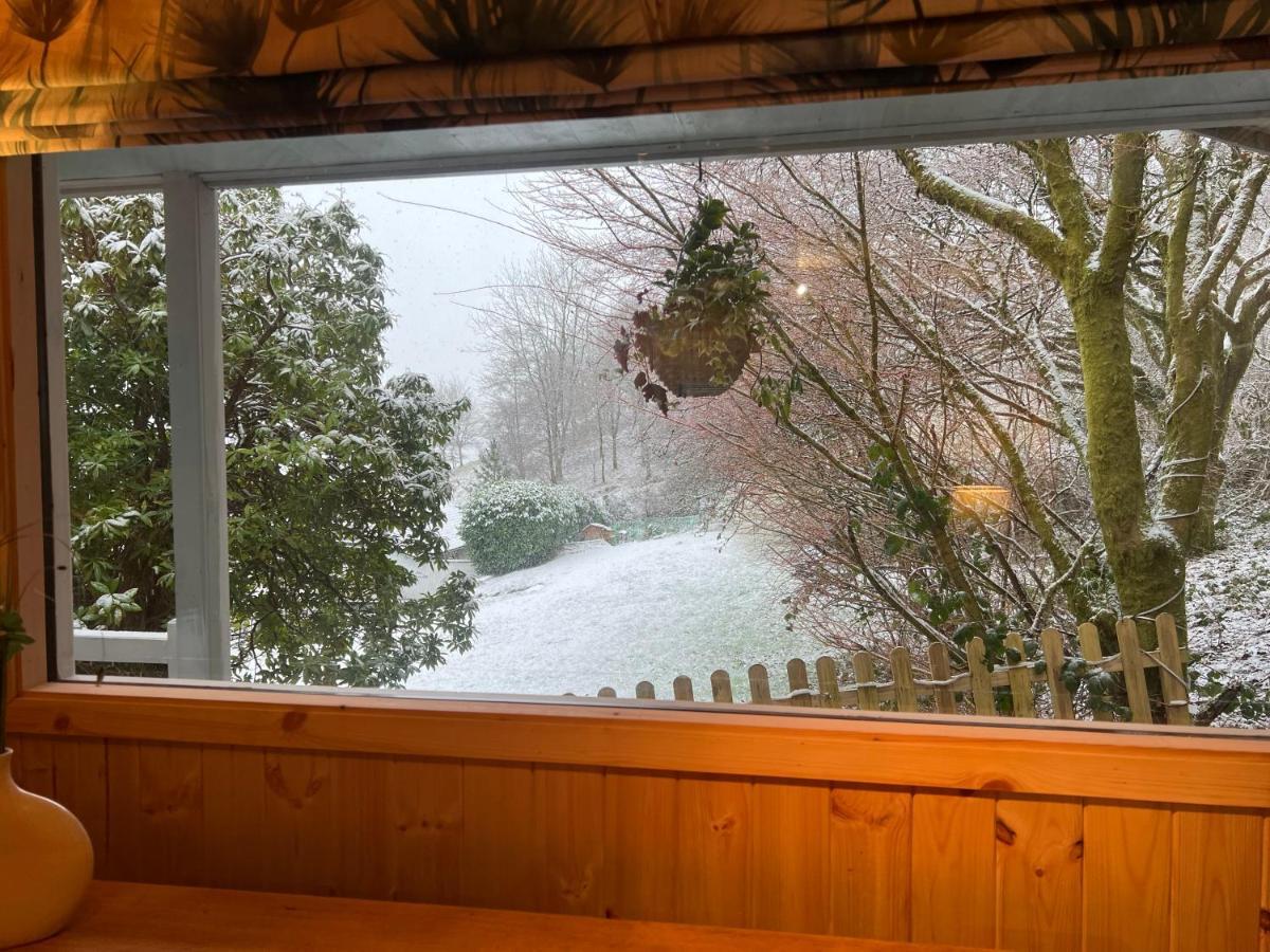 Treeside Woodhouse Villa Hawkshead Bagian luar foto