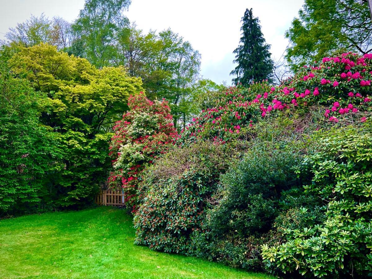 Treeside Woodhouse Villa Hawkshead Bagian luar foto