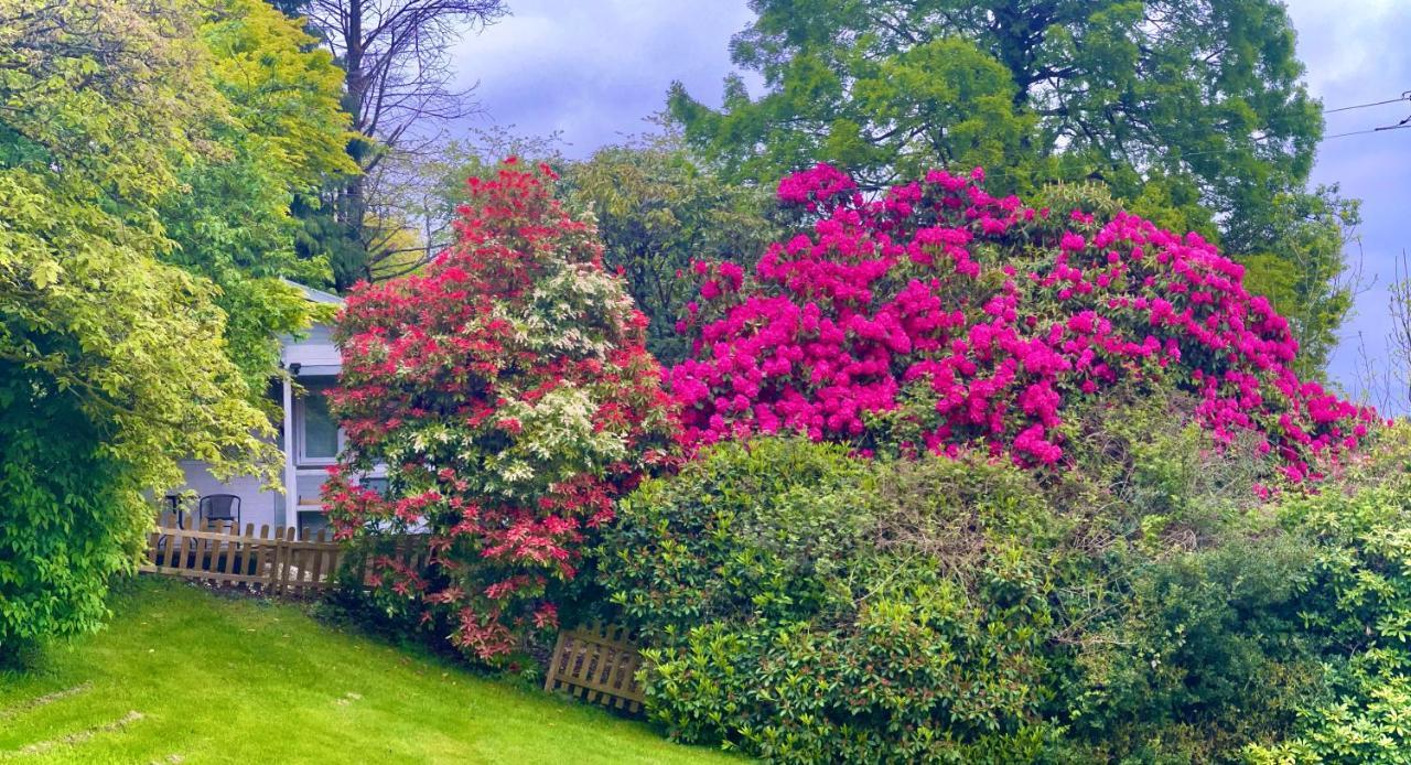 Treeside Woodhouse Villa Hawkshead Bagian luar foto