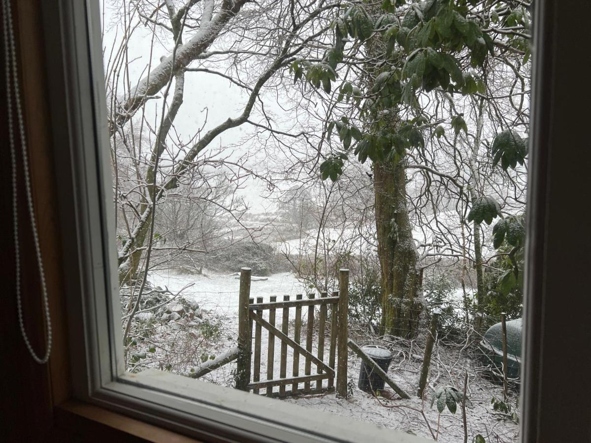 Treeside Woodhouse Villa Hawkshead Bagian luar foto
