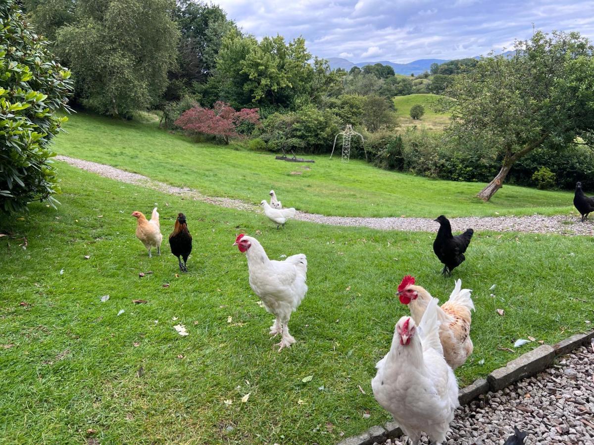 Treeside Woodhouse Villa Hawkshead Bagian luar foto