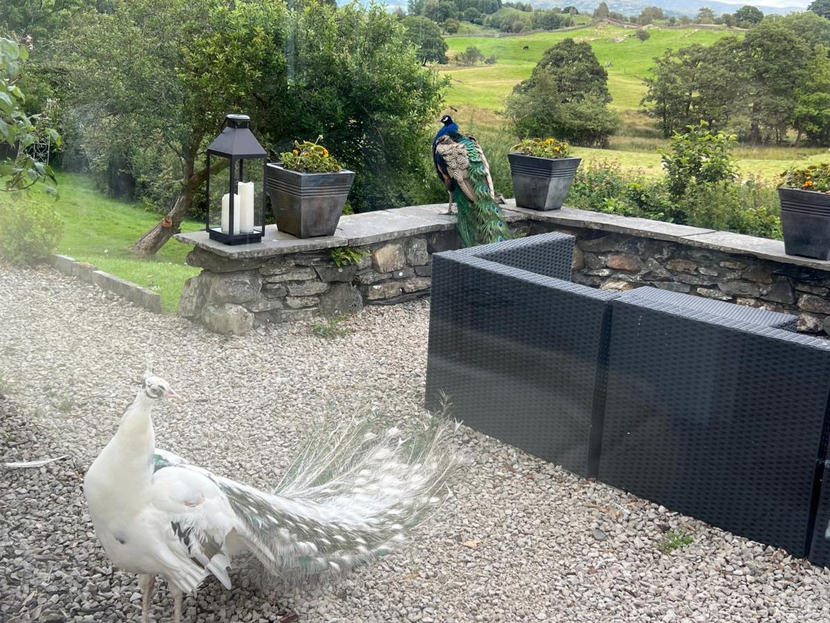 Treeside Woodhouse Villa Hawkshead Bagian luar foto