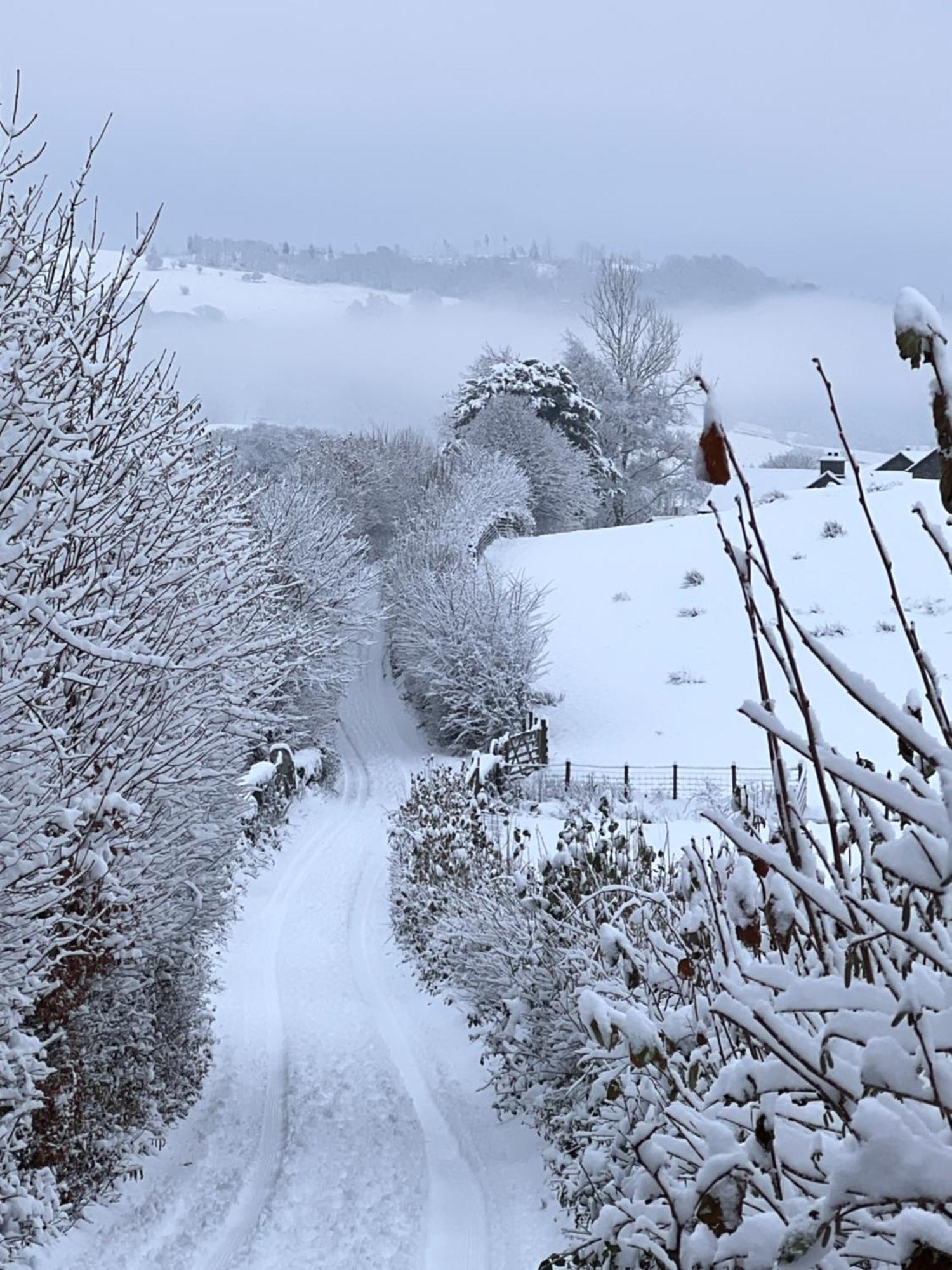 Treeside Woodhouse Villa Hawkshead Bagian luar foto
